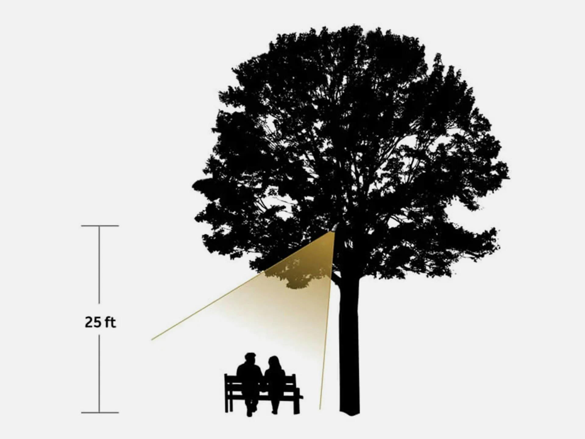 Illustration of a tall tree shining a light on a bench 25 feet up