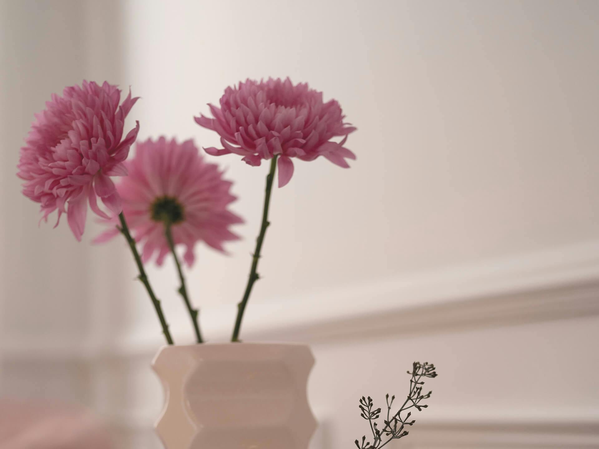 Close up of pink flowers in a pale cream vase