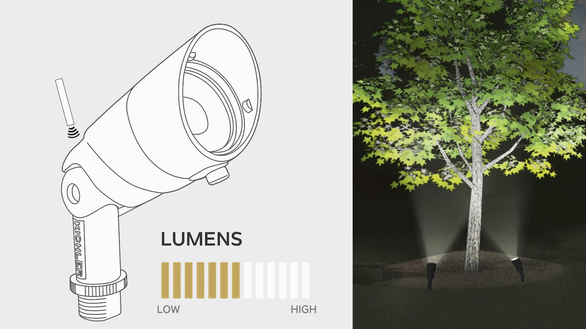 Illustrated image of a VLO ground light demonstrating it's low to high settings to adjust brightness for uplighting