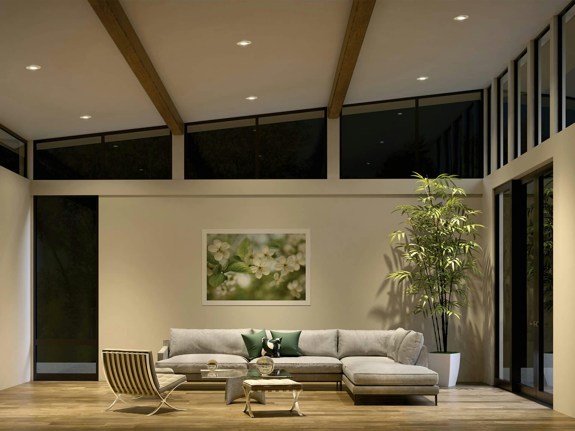 Living room featuring a high ceiling lit with DTC lights
