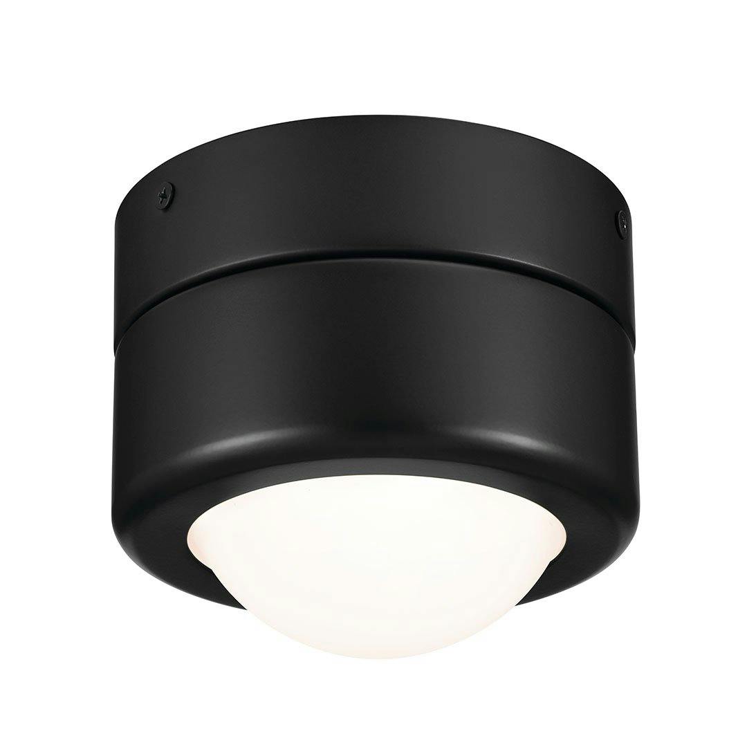 Tibbi 5.5 Inch 1 Light LED Flush Mount with Satin Etched Cased Opal Glass in Black on a white background