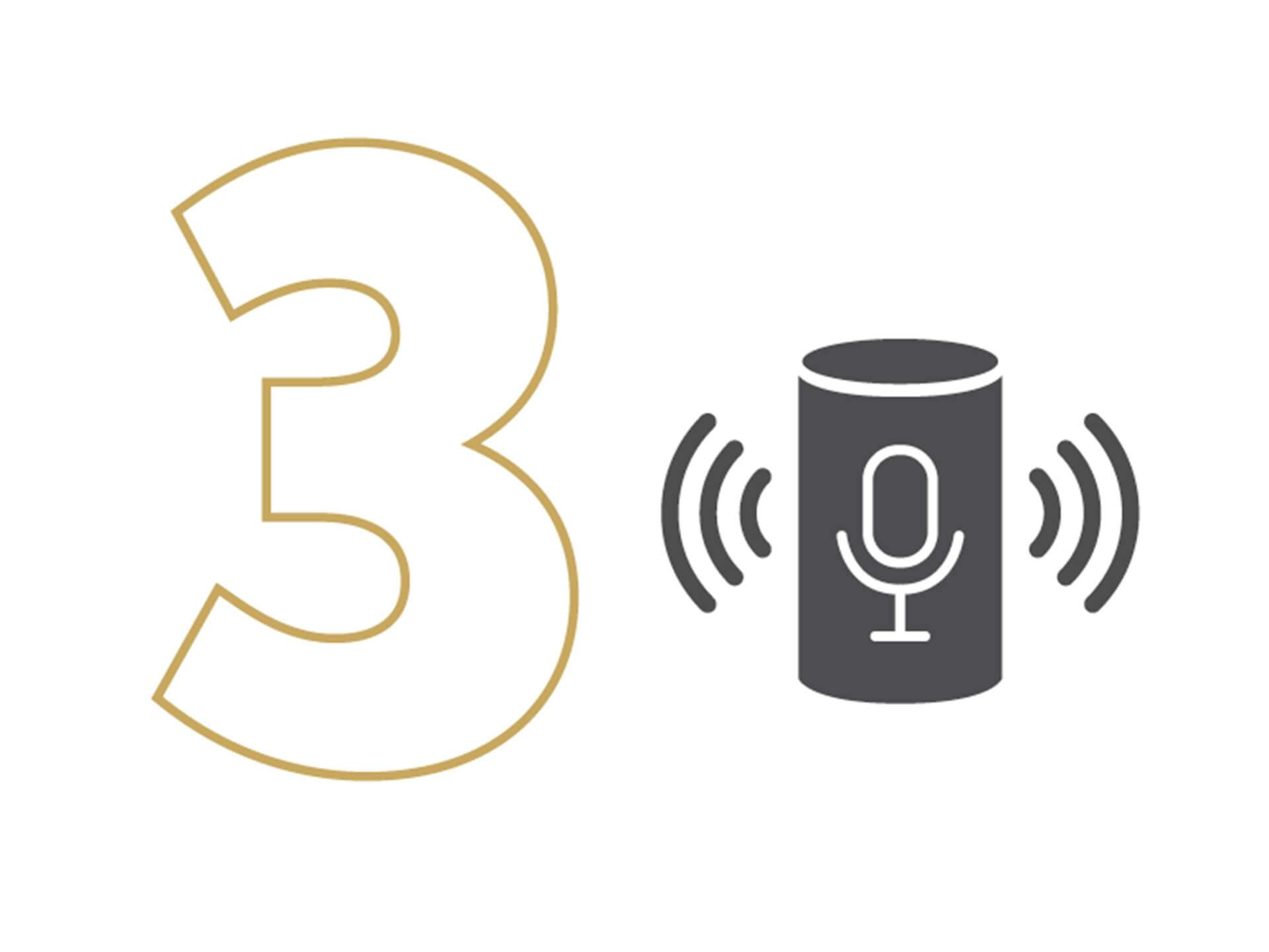 '3' next to an illustration of a cylinder with a mic logo on it and sound waves coming out of each side