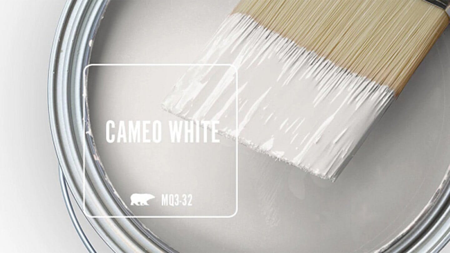 Cameo White paint can and brush.