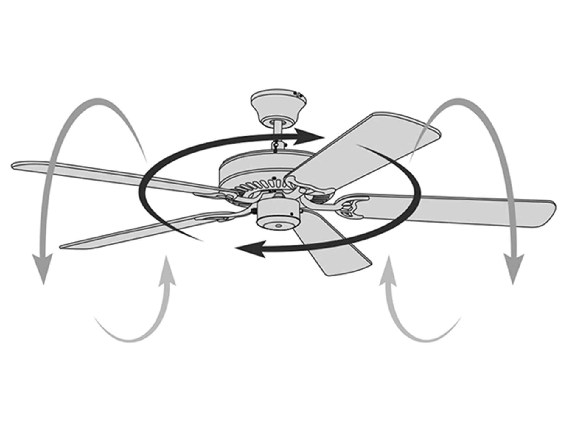 Illustrated fan demonstrating air flow being pulled up and around.