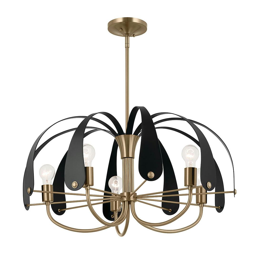 Petal 42.5 Inch 5 Light Chandelier in Champagne Bronze with Black on a white background