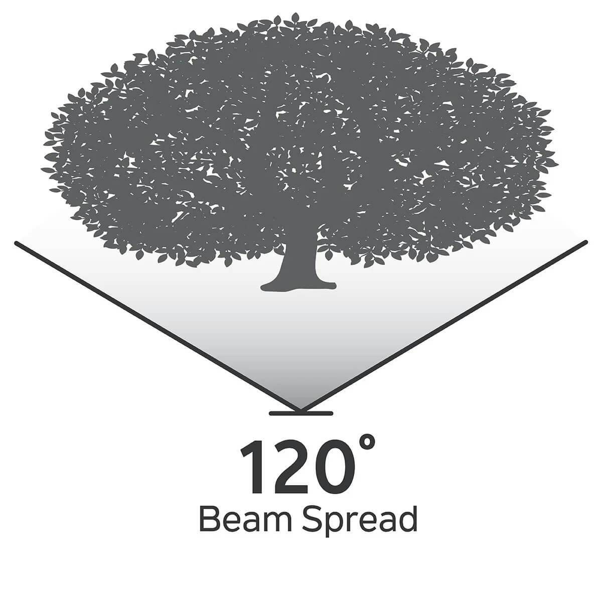 Very large tree illustration with 120 degree beam spread