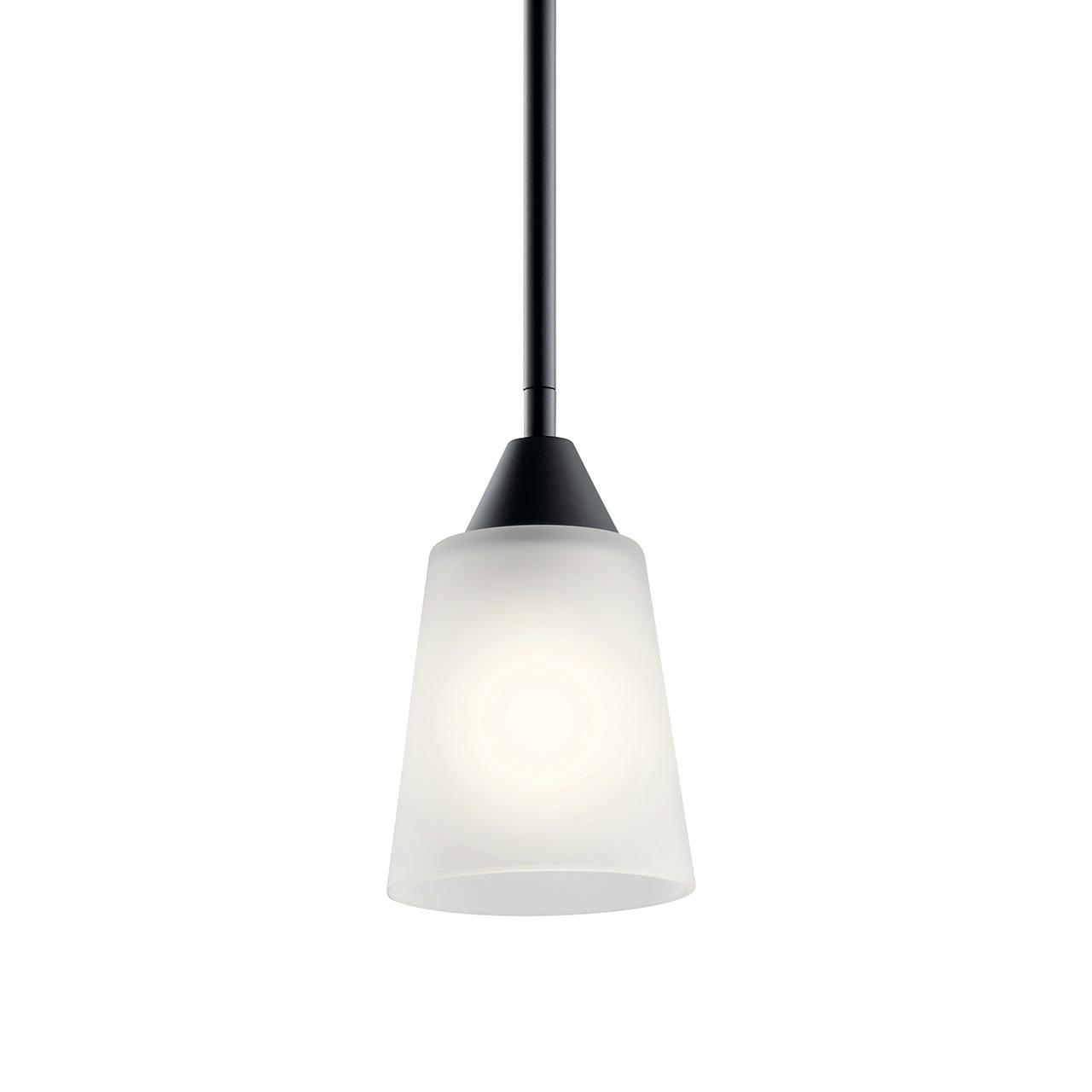 Skagos™ 1 Light Mini Pendant Black without the canopy on a white background
