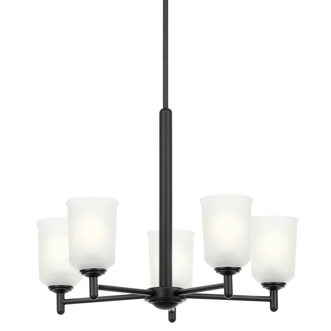 Shailene 18.5 inch 5 Light Chandelier with Satin Etched Glass in Black on a white background