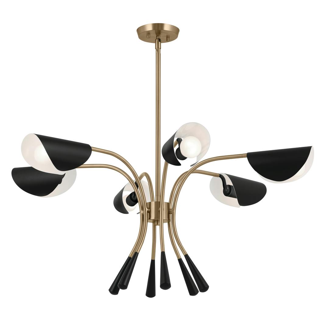 Arcus 39.25 Inch 6 Light Chandelier in Champagne Bronze with Black on a white background