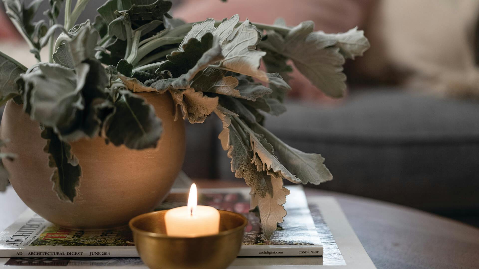Close up of a candle and plant on a coffee table