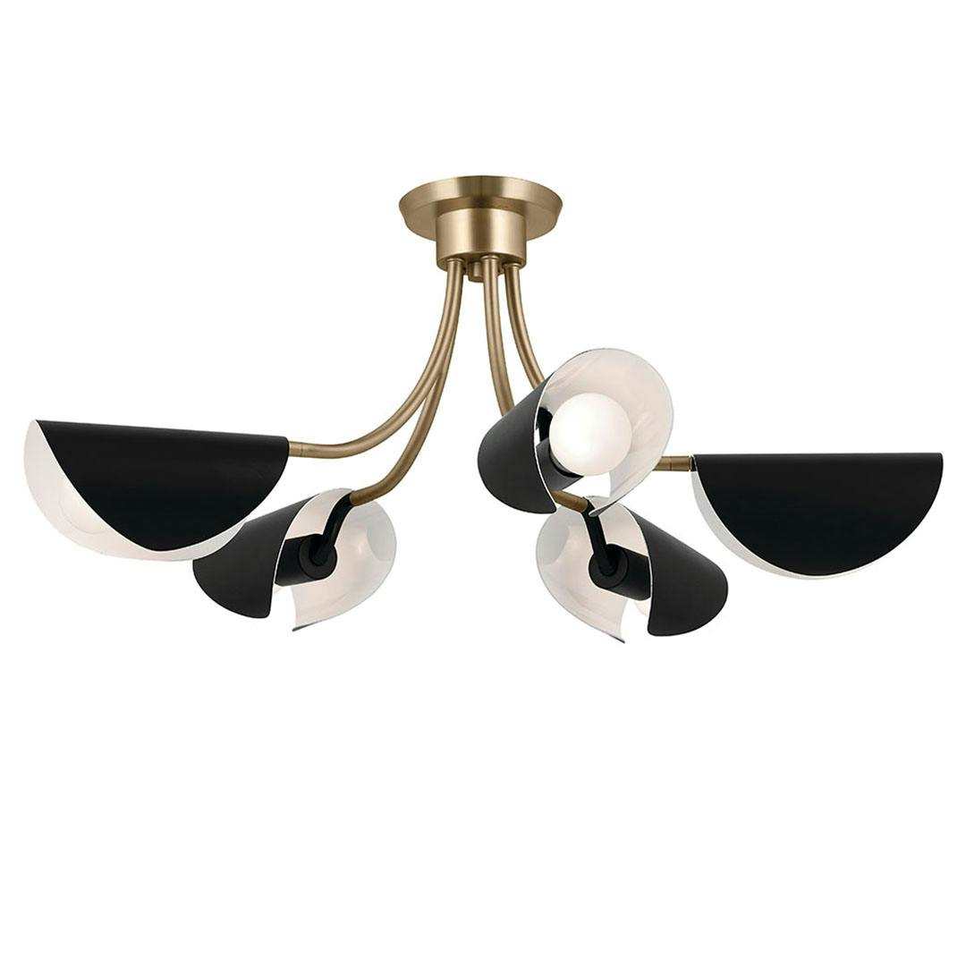 Arcus 29.25 Inch 5 Light Convertible Chandelier in Champagne Bronze with Black on a white background