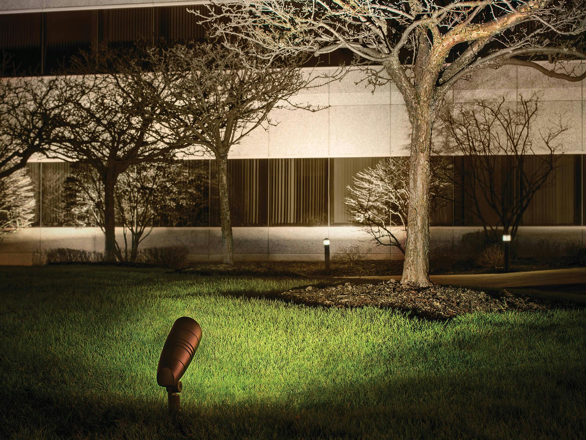 Exterior of an office building with flood lights providing uplighting on the trees and landscape
