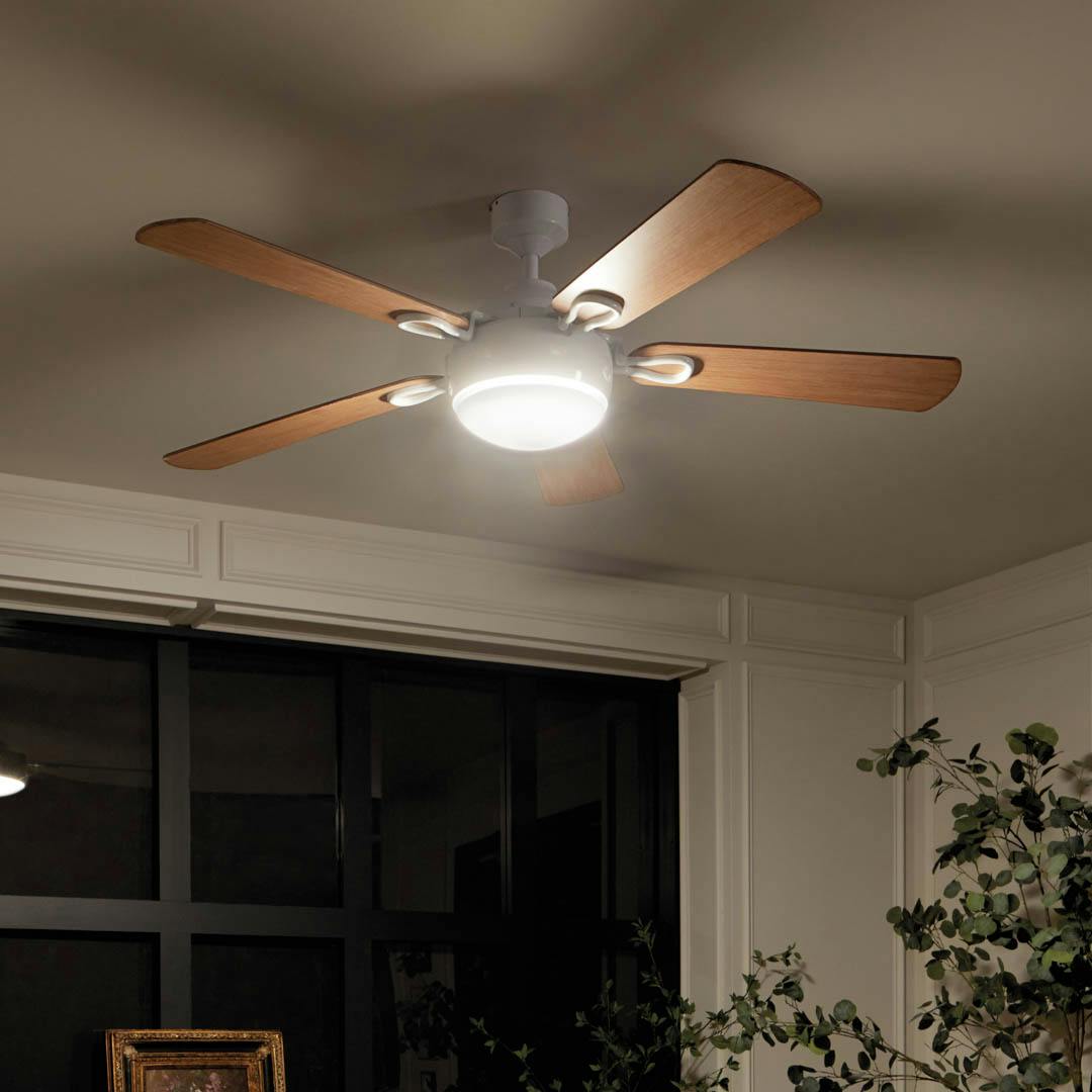 Night time sunroom with 60" Humble 5 Blade LED Indoor Ceiling Fan White