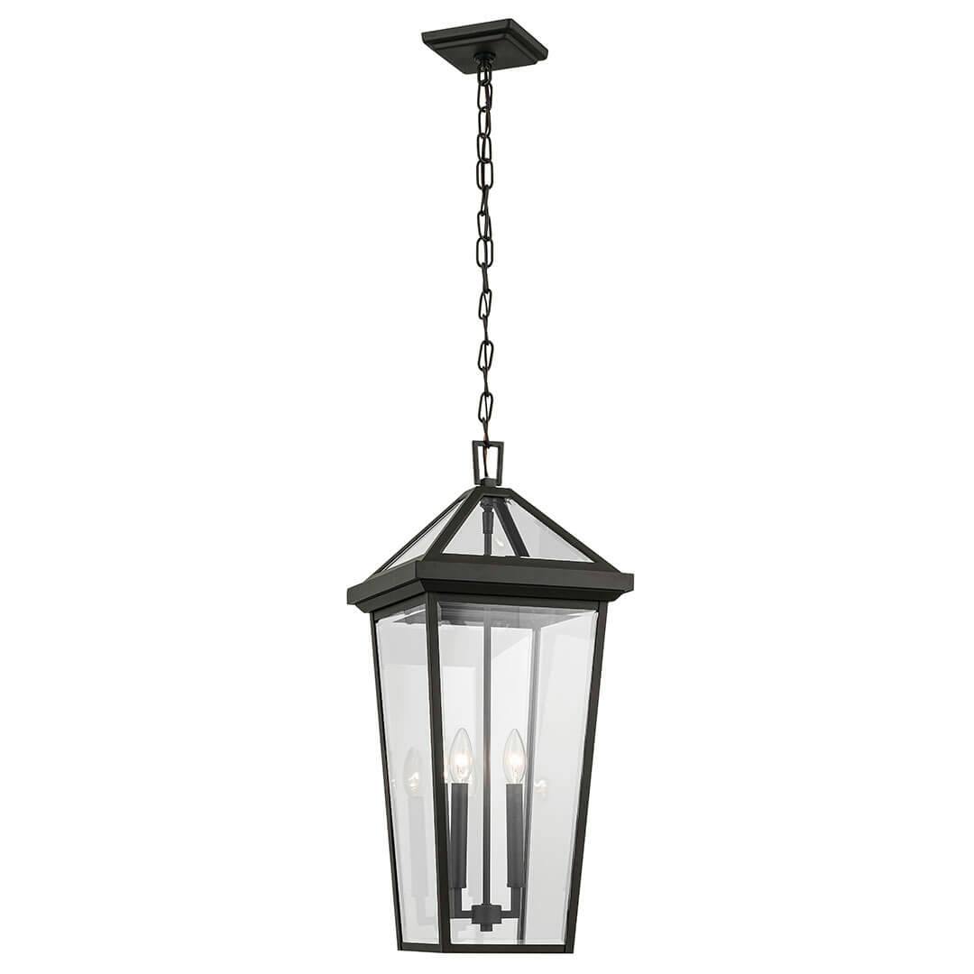 The Regence 26" 2 Light Outdoor Pendant in Olde Bronze on a white background