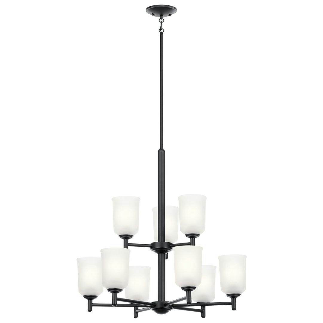 Shailene 26.5 inch 9 Light 2 Tier Chandelier with Satin Etched Glass in Black on a white background