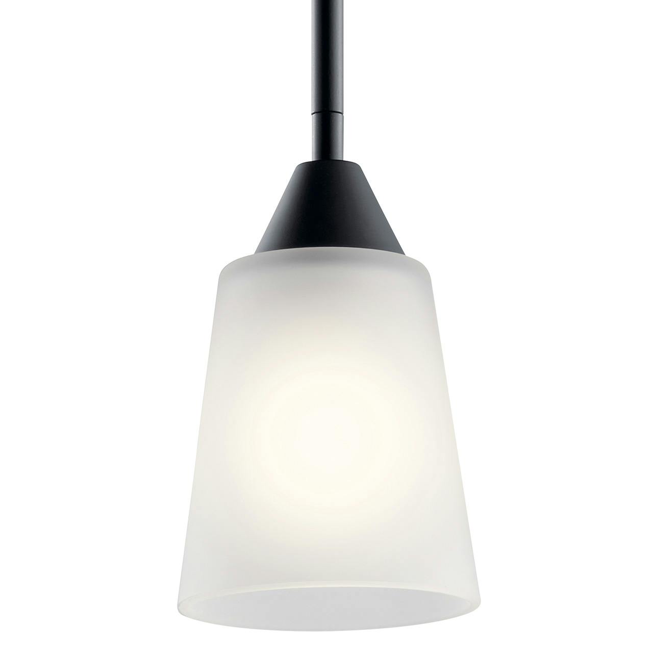 Close up view of the Skagos™ 1 Light Mini Pendant Black on a white background