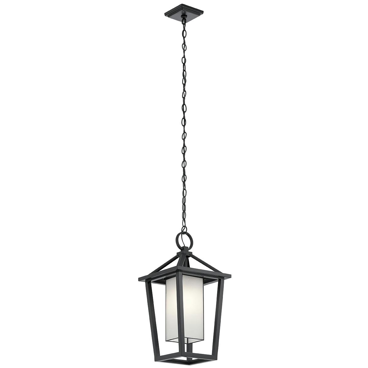 Pai™24" 1 Light Pendant in Black on a white background