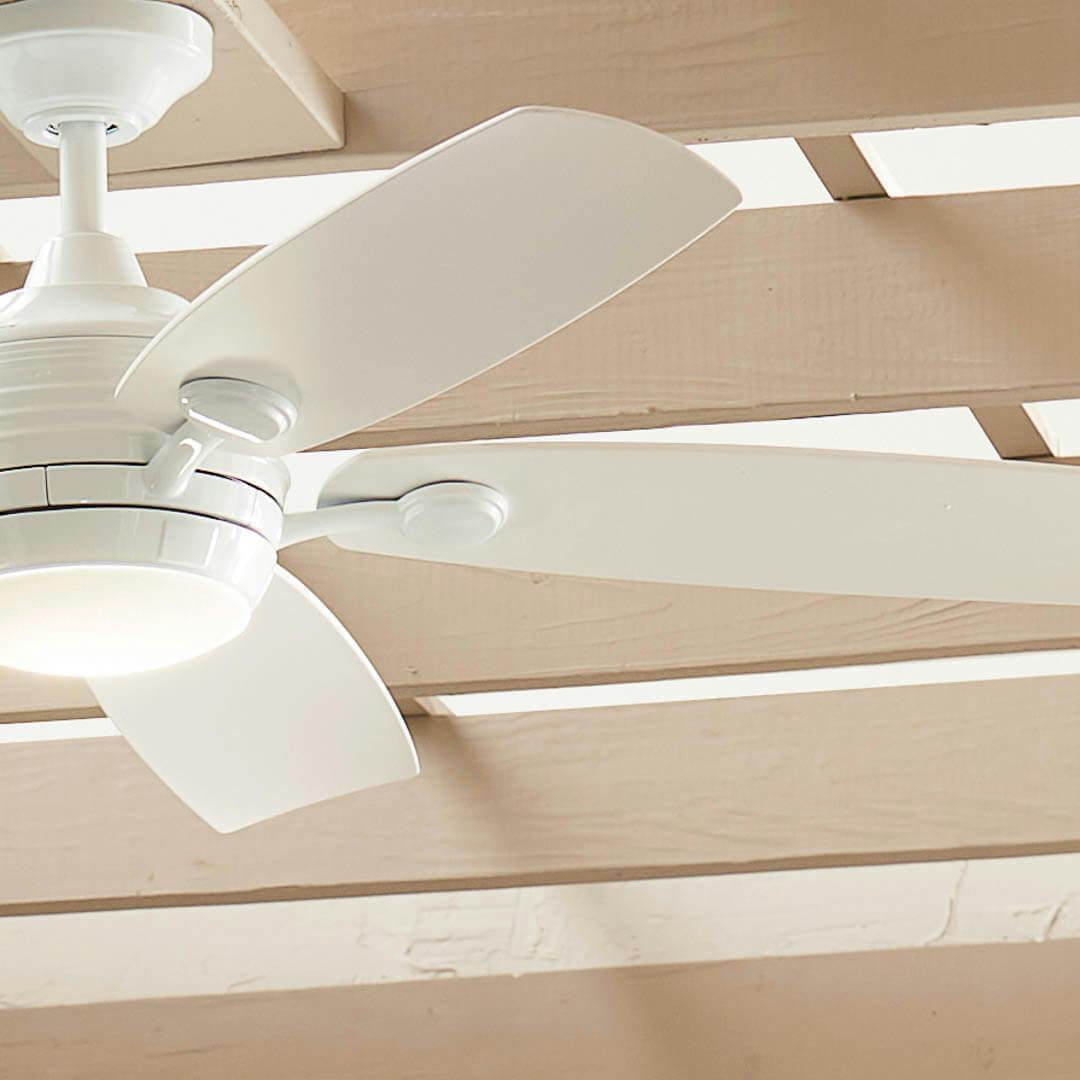 Day time exterior with 56" Tranquil LED Weather+ Outdoor Ceiling Fan White