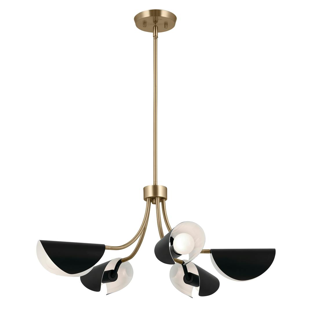 Arcus 29.25 Inch 5 Light Convertible Chandelier in Champagne Bronze with Black on a white background
