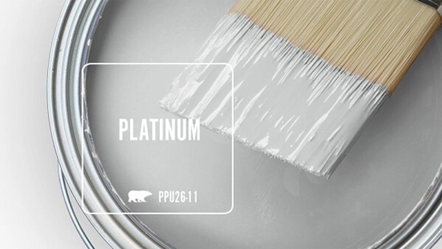 Platinum paint can and brush