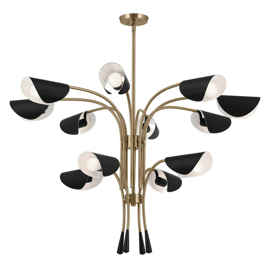 Arcus 46.25 Inch 12 Light Chandelier in Champagne Bronze with Black on a white background