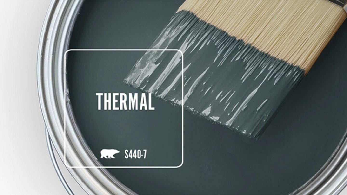 Thermal paint can and brush