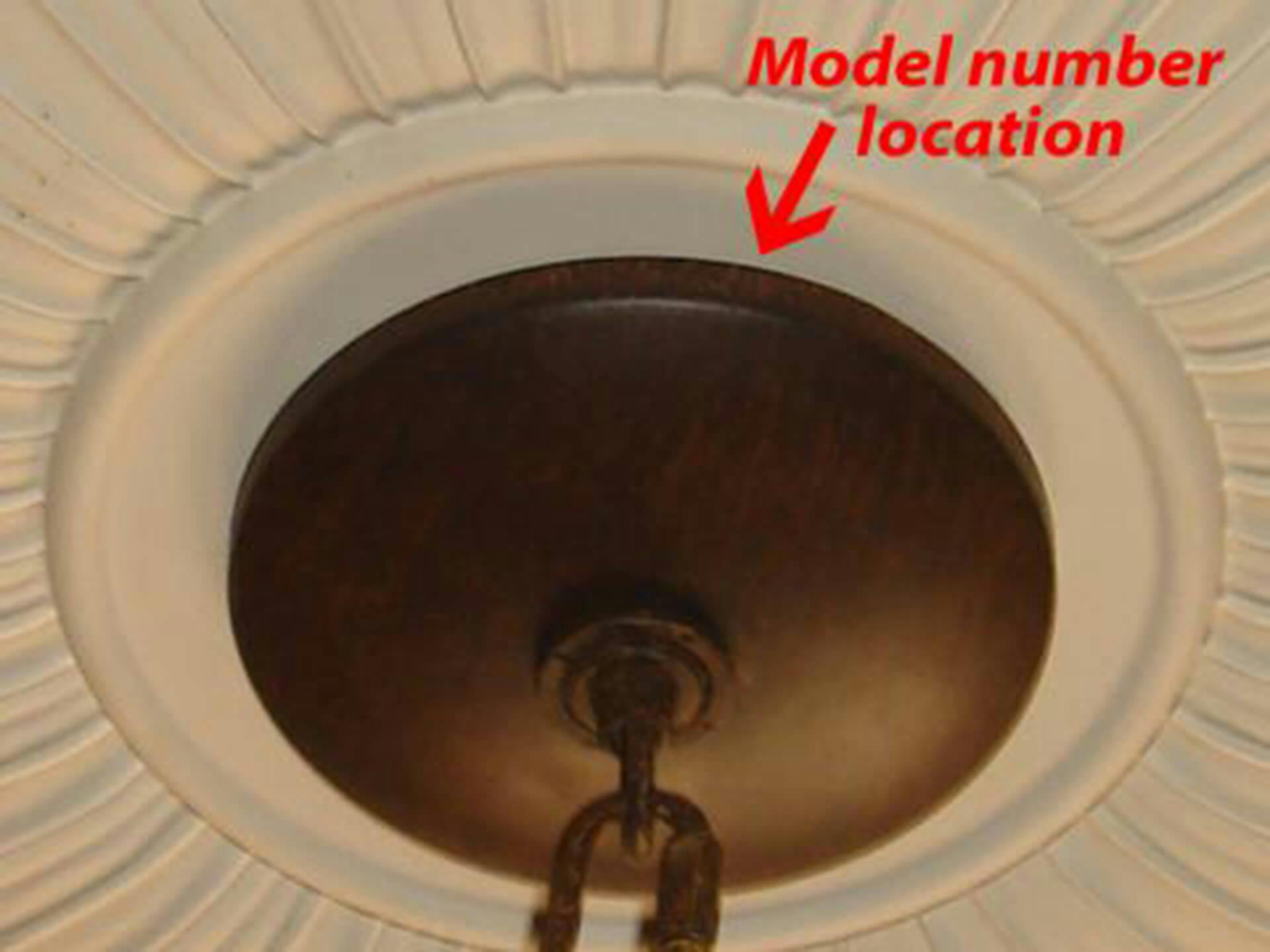 Close up of the aztec chandelier ceiling mount with the words "model number location" pointing underneath.