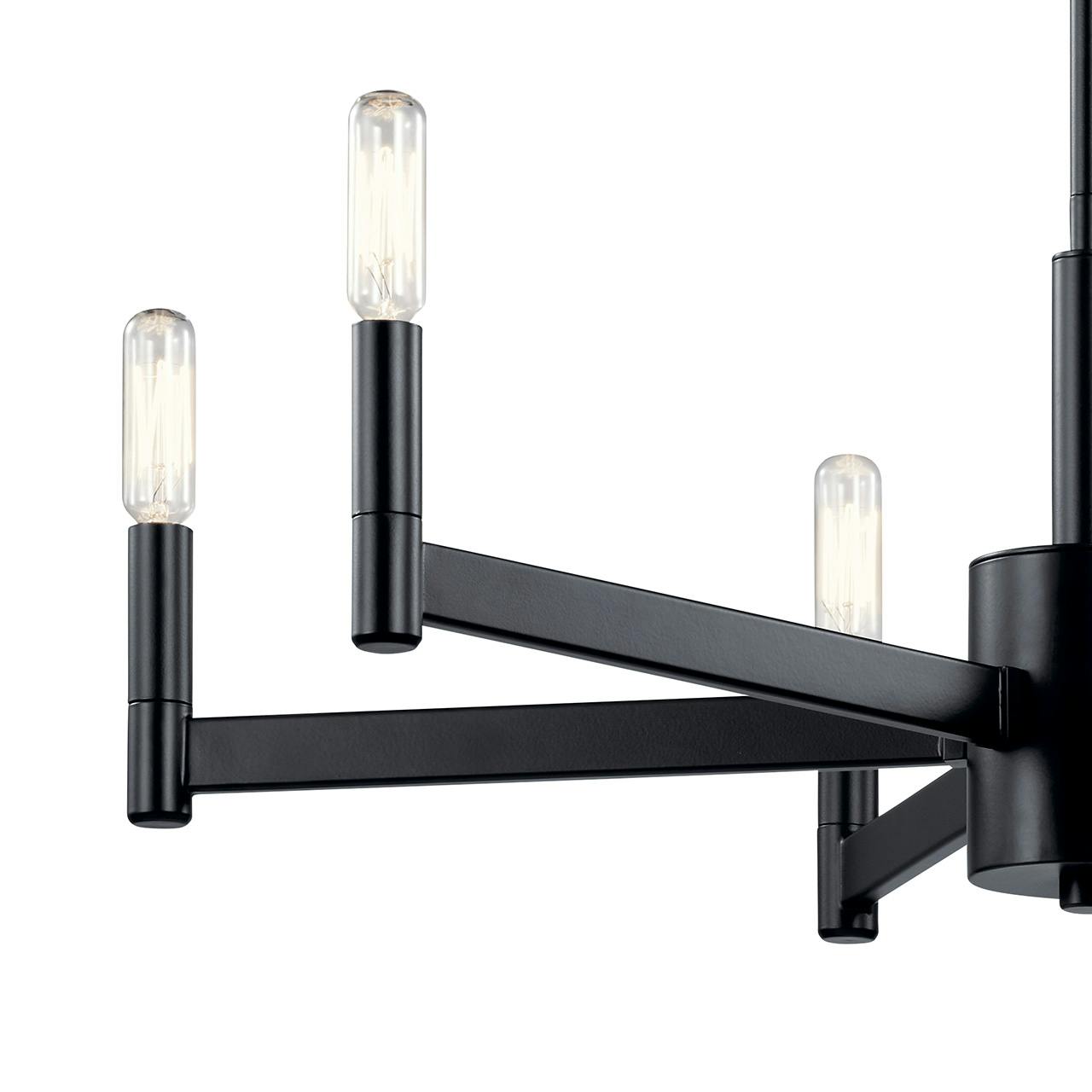 Close up view of the Erzo™ 6 Light Chandelier in Black on a white background