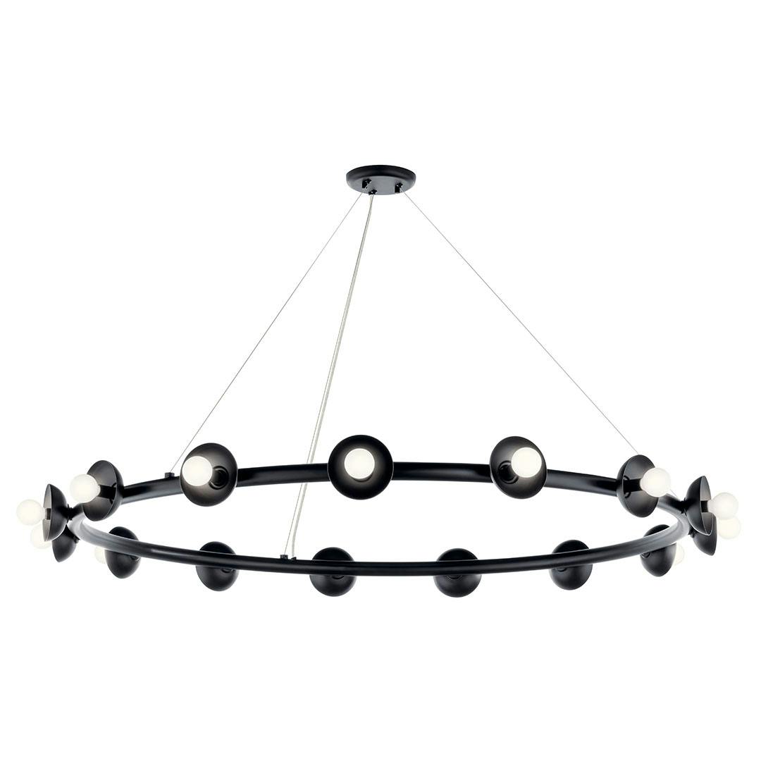 The Palta 50 Inch 15 Light Chandelier in Black on a white background
