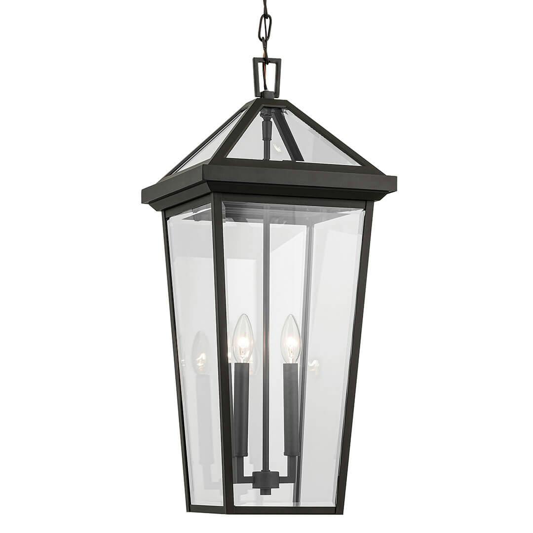 The Regence 26" 2 Light Outdoor Pendant in Olde Bronze on a white background
