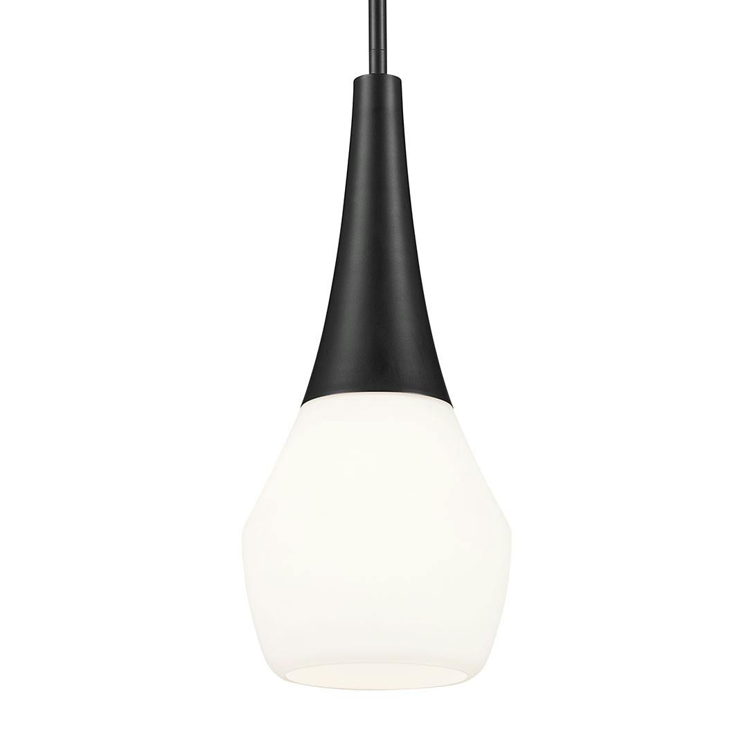 Deela 17 Inch 1 Light Pendant with Satin Etched Cased Opal Glass in Black on a white background