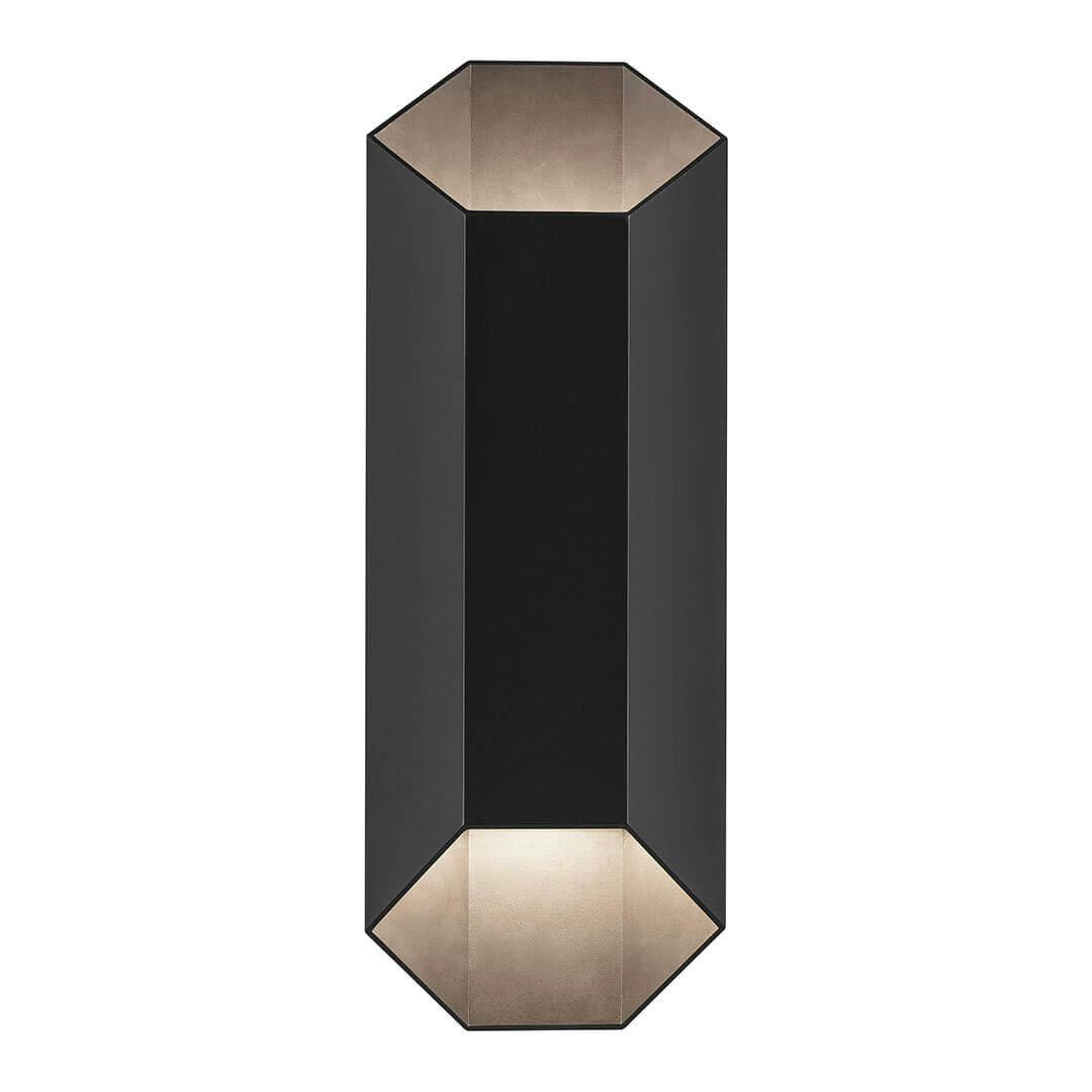 Front view of the Estella 16.5" LED 2-Light Outdoor Wall Light in Black on a white background