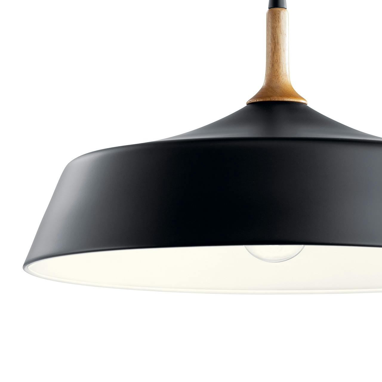 Close up view of the Danika 1 Light Pendant in Black on a white background