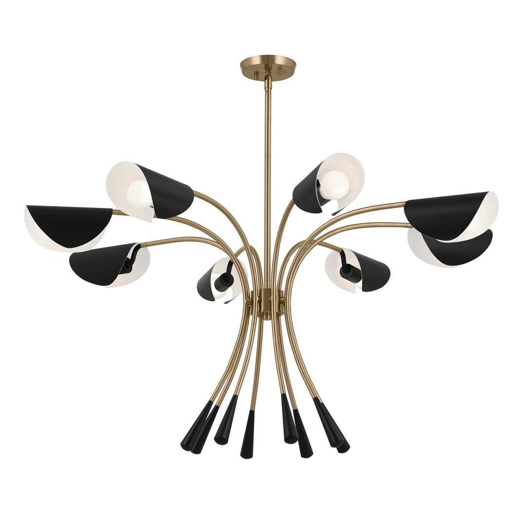 Arcus 45.5 Inch 8 Light Chandelier in Champagne Bronze with Black on a white background