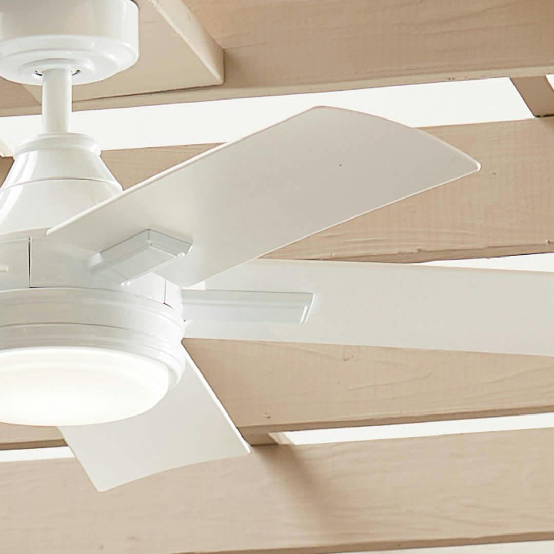 Day time exterior with 52" Tide 5 Blade LED Weather+ Outdoor Ceiling Fan White