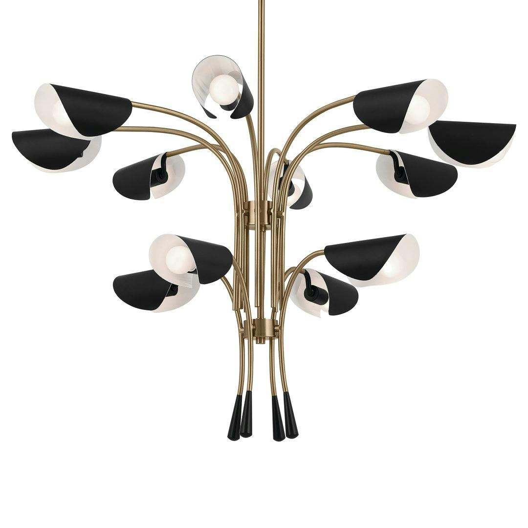 Arcus 46.25 Inch 12 Light Chandelier in Champagne Bronze with Black on a white background