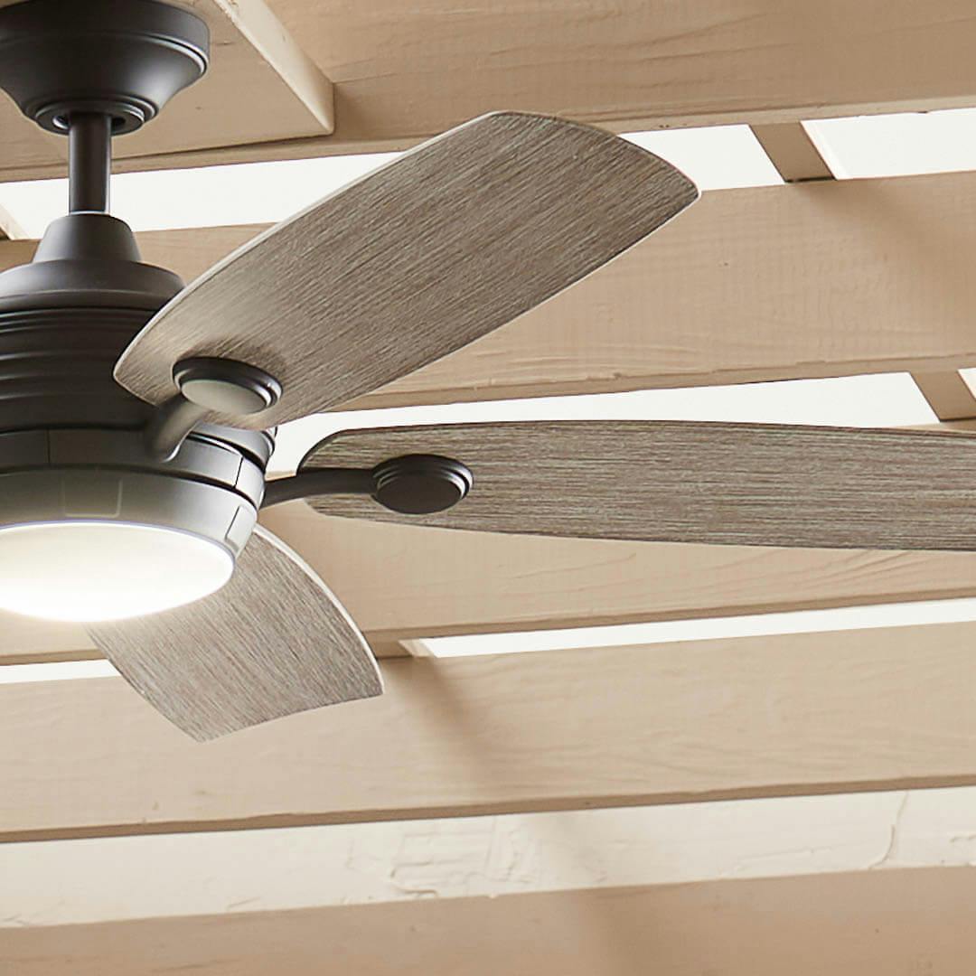 Day time exterior with 56" Tranquil LED Weather+ Outdoor Ceiling Fan Olde Bronze