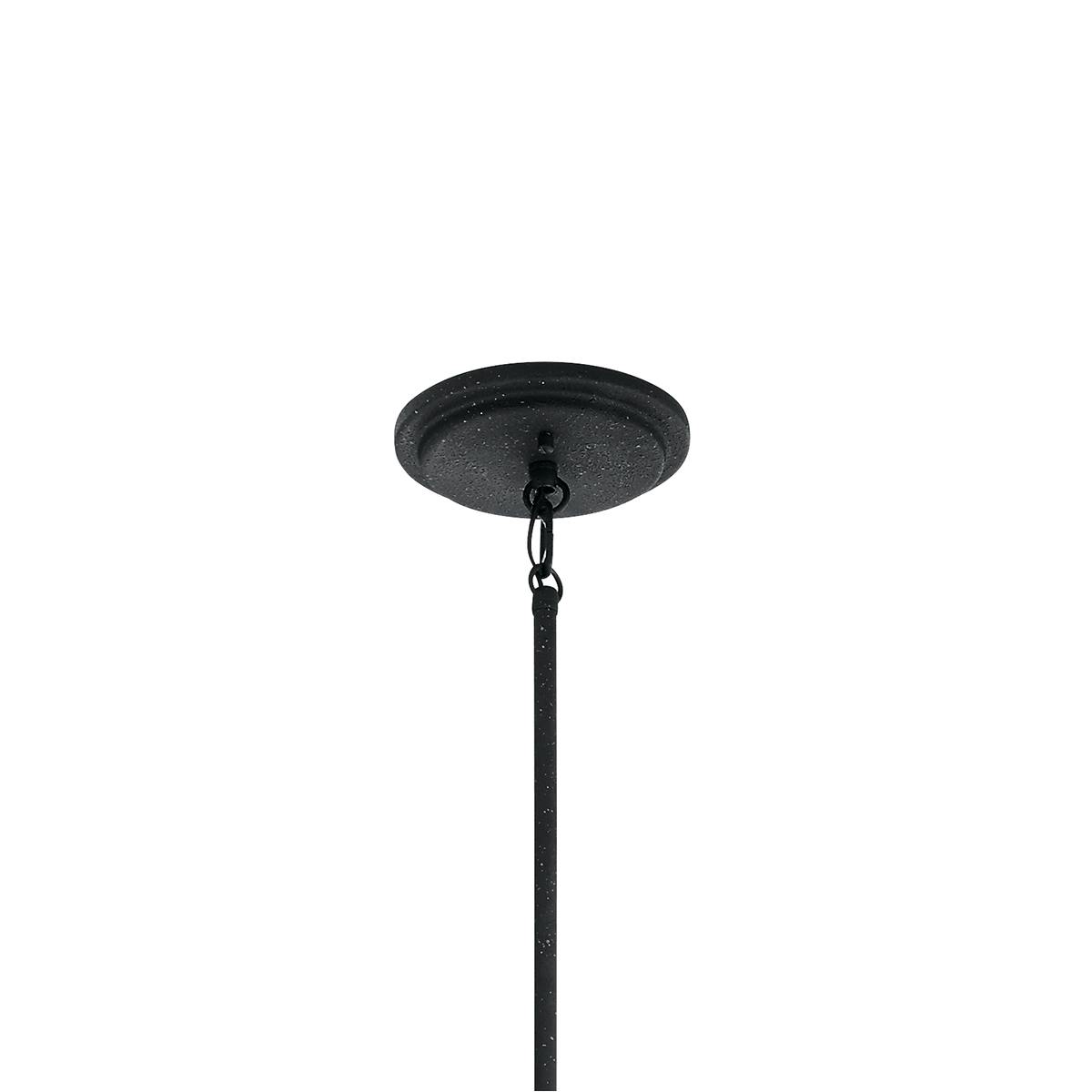 Canopy image of the Royal Marine Outdoor Hanging Light 49145DBK on a white background
