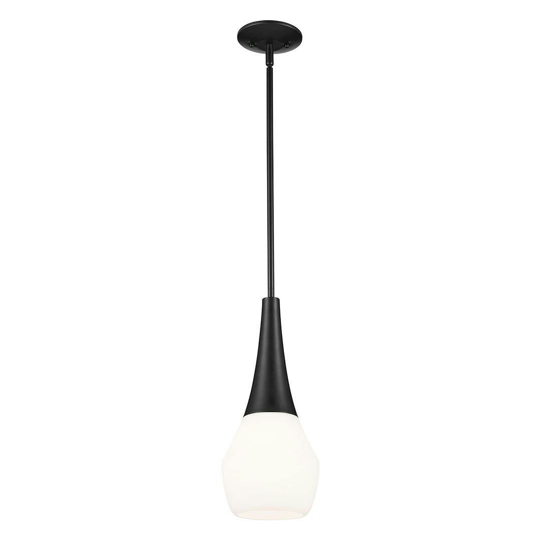 Deela 17 Inch 1 Light Pendant with Satin Etched Cased Opal Glass in Black on a white background