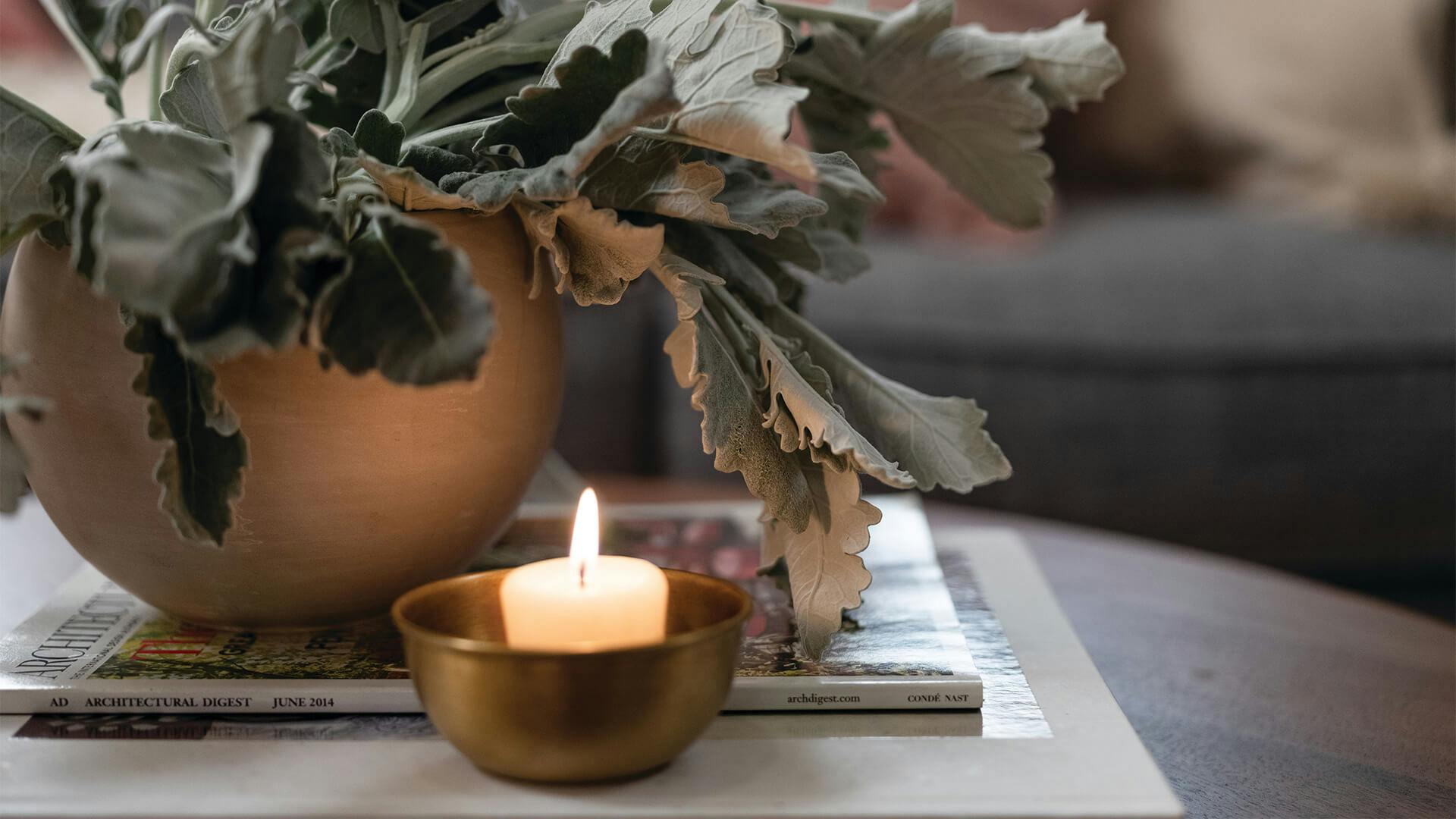Lifestyle shot of a coffee table with a candle. books, and a plant in a vase 