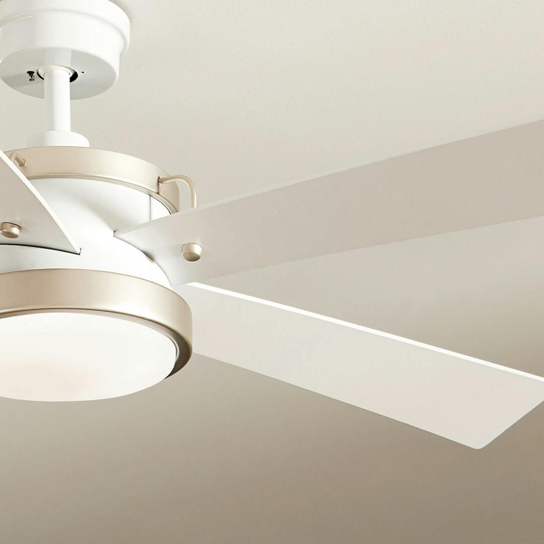 Day time living room with 56" Salvo 5 Blade LED Indoor Ceiling Fan White