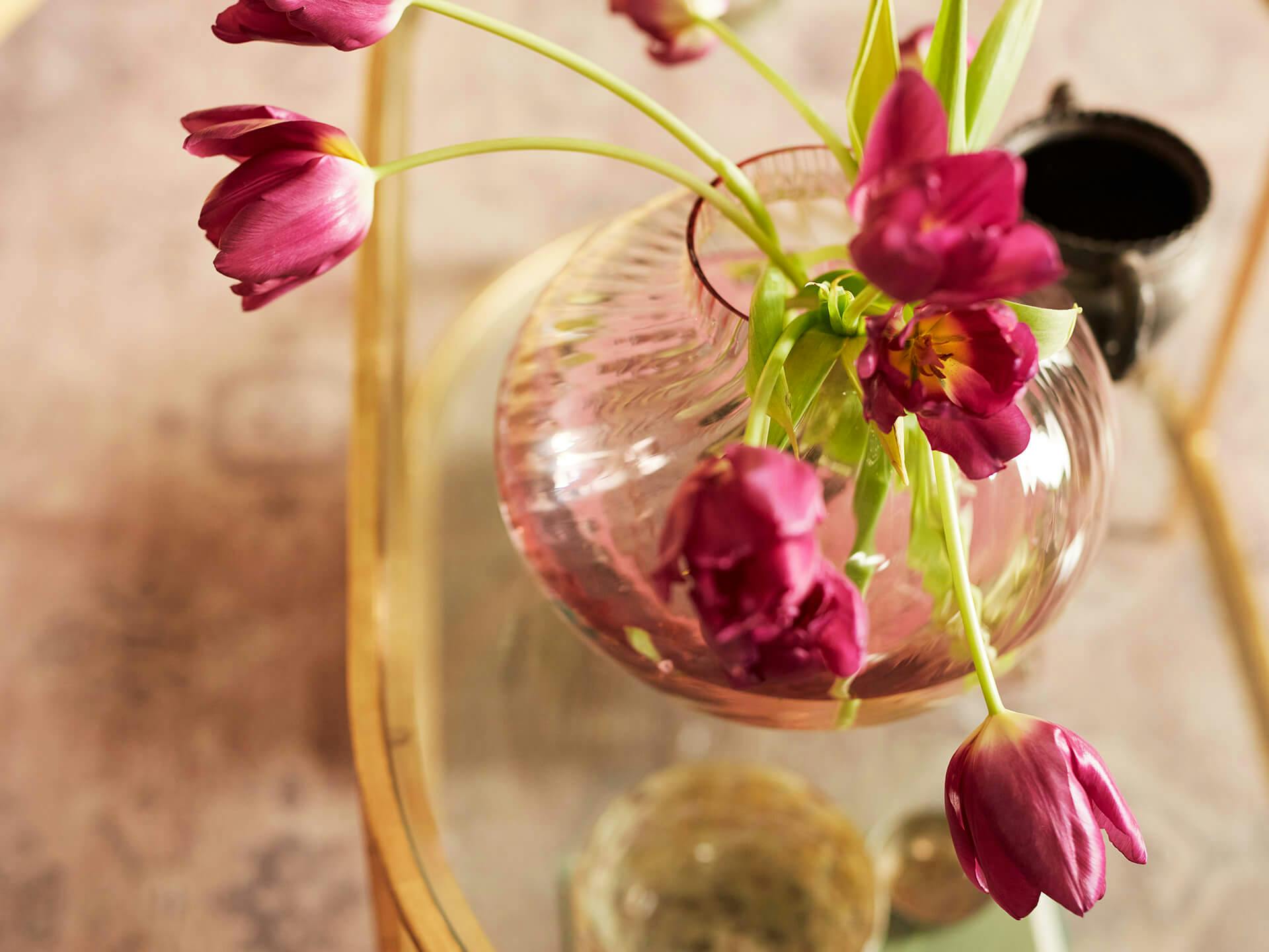 Close up of a glass vase on a coffee table with dark pink flowers
