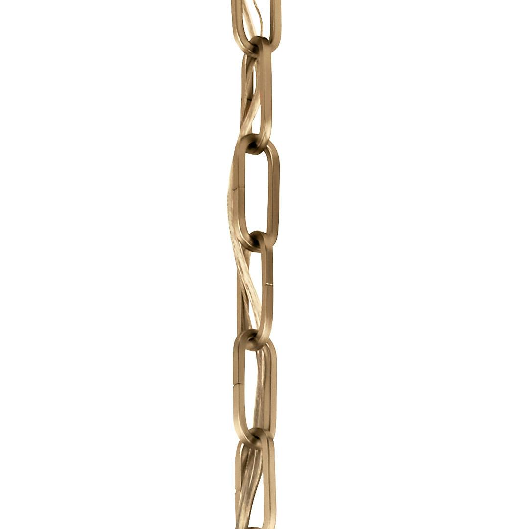 36 Inch Standard Gauge Chain in Champagne Bronze